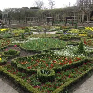 SBT New Place Knot Garden SBT New Place Knot Garden